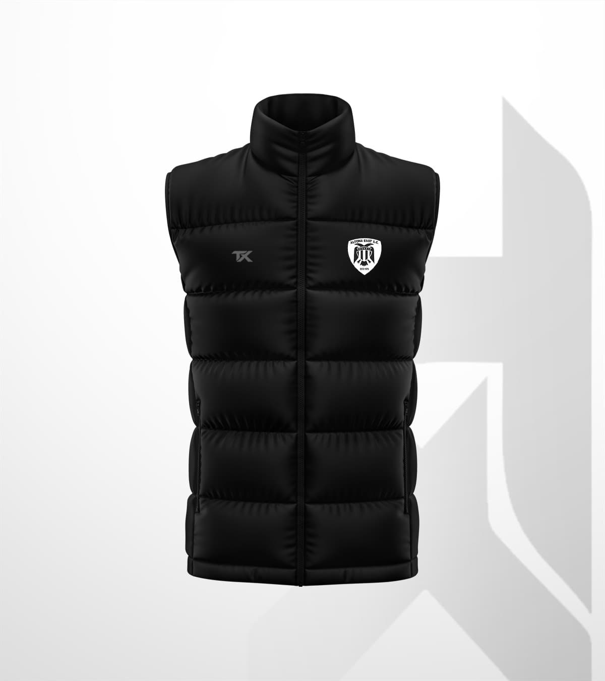 AESC VEST