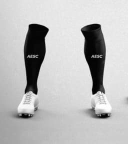 AESC Black Socks