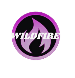 Wildfire Netball Club