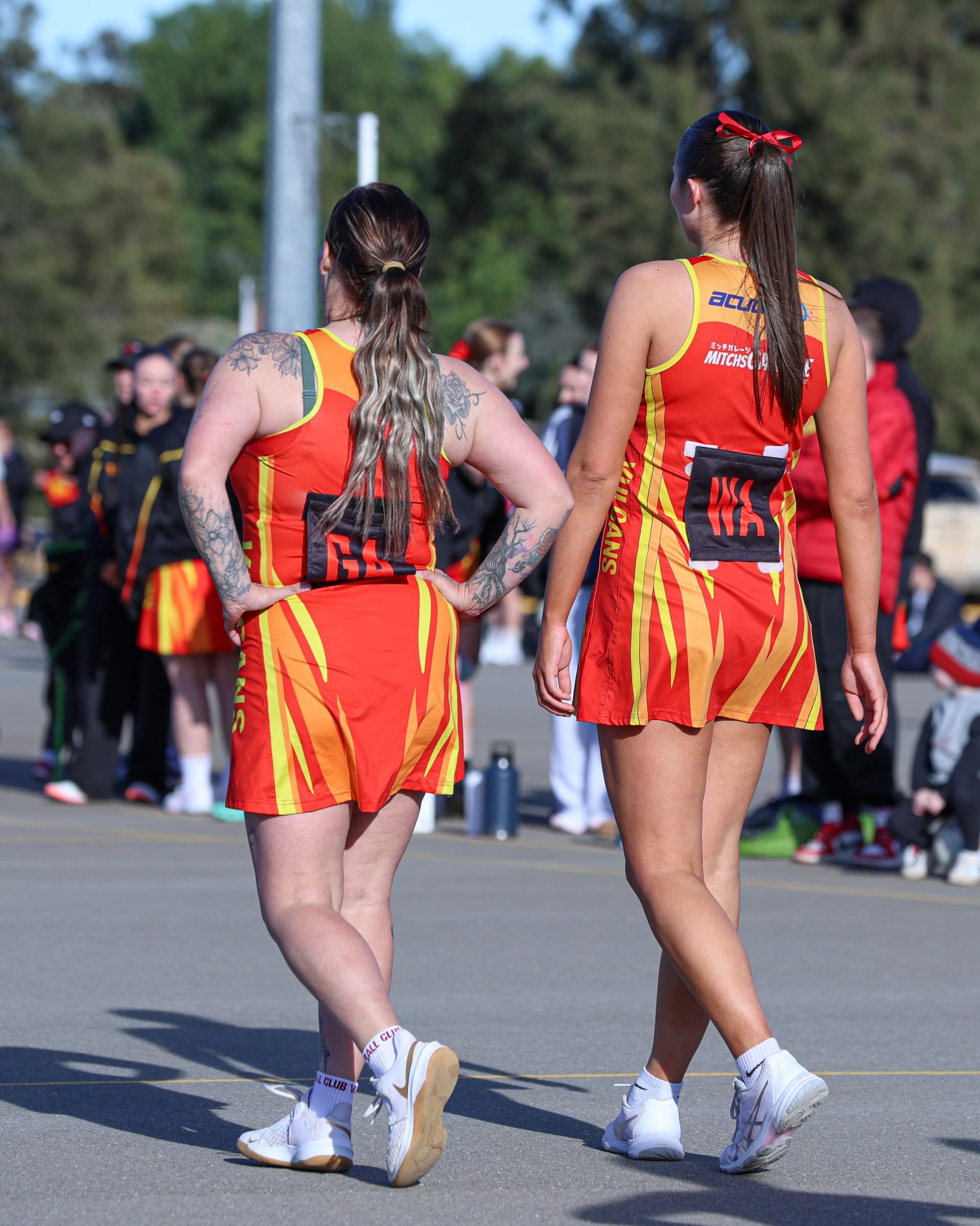 Netball Bibs